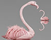 Flamingos Animated