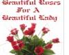 beautiful roses 4 a lady