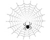Spider Web Halloween