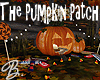 *B* The Pumpkin Patch