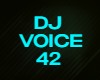 DJ VOICE