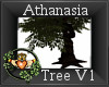 ~QI~ Athanasia Tree V1
