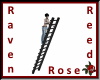 RVN - AH Tall Ladder