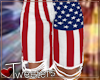 Patriotic Long Shorts