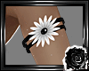 *L*Flower Bands White
