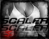 Scaler!