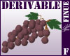 {F} Derivable Grape Bed