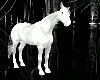 Horse Animated *K*