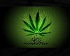 you tube weed