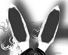 White Circuit Bunny Ears