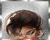 Ash Ombre Hair
