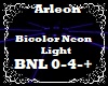 Bicolor Neon Light