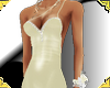 (PC) DESI V1
