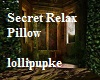 Secret Relax Pillow