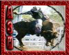 [DF]Rodeo bull poster