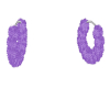 Purple Fur Angel Earings
