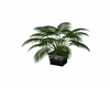 Square potted plant