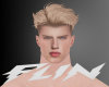F | Blond Glent Hair