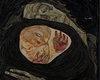 ab.Egon Schiele