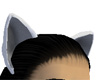 Jak's ears