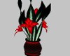 (EK) Fire Lilly Plant
