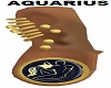 Aquarius GoldEarPlugs