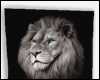 Lion Frame