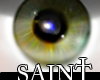 Saint's Eyes