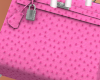 Used Grace Ostrich Bag