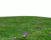 Grass with Flowers