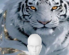 Snow tiger background