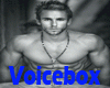 Sexy Real Man VoiceBox