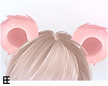 !EE♥ Bear Ears
