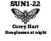 Corey Hart Sunglasses at