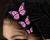 Gil Butterfly head