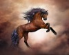 horse  bello