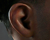 Perfect Ears Addon
