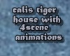 calis tiger house