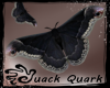 [QQ] celleta silk moth 2