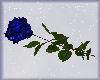 Blue Rose Valentines