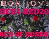 Bon Jovi Bed of Roses