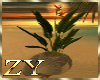 ZY: Paradise Plants