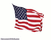 (MDiva USA Waving Flag