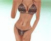 Wild Cheeta Bikini