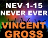 Vincent Gross - Never