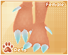 [Pets] Siravi | feet