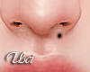 Poppy Left Nose Mole 60
