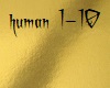 human Rag n Bone Man