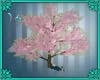 (IS) Sakura Tree 02
