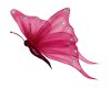 sticker pink butterfly